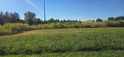 /international/us/tbd-lot-1-blk-1-3rd-avenue-se-harmony-mn-110102793098/