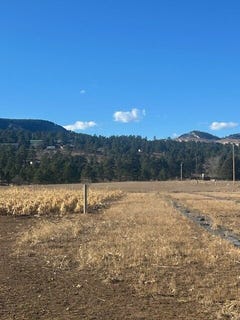 /international/us/tbd-windriver-place-piedmont-sd-110105877160/