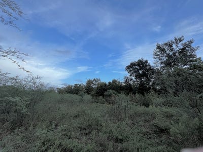 /international/us/506-rogers-street-wallis-tx-110088092770/