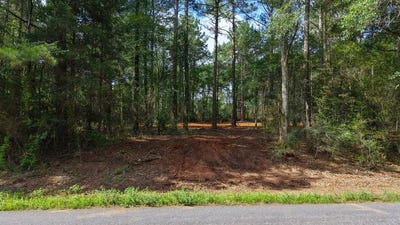 /international/us/3-34-lot-3-a-e-dogwood-trail-coffee-springs-al-110100354055/