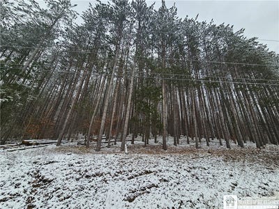 /international/us/butternut-brook-road-portville-ny-110106499046/