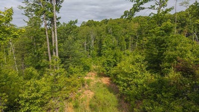 /international/us/tbd-cove-gap-rd-moravian-falls-nc-110100804173/?lang=fr