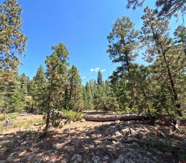 /international/us/48-ponderosa-way-durango-co-110086953897/?lang=zh-tw