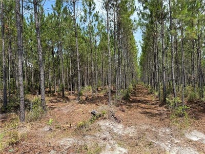 /international/us/0-lot-6-corbitt-road-manor-ga-110101201346/