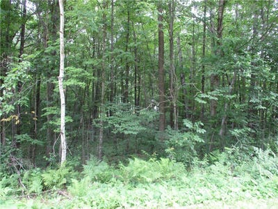 /international/us/lot-96-woods-avenue-birchwood-wi-110090991461/?lang=zh-tw
