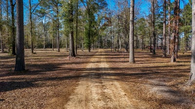 /international/us/tbd-lot-4-county-road-3545-joaquin-tx-110095032138/