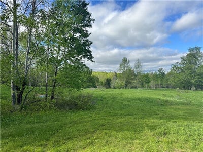 /international/us/meadow-brook-drive-lot-11-margaretville-ny-110109598238/