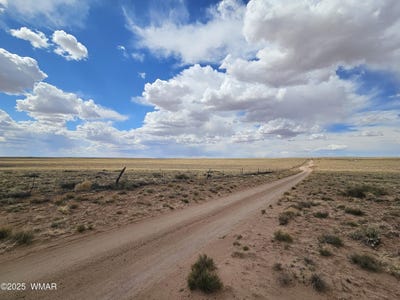 /international/us/tbd-lot-65-rancho-holbrook-az-110078007517/