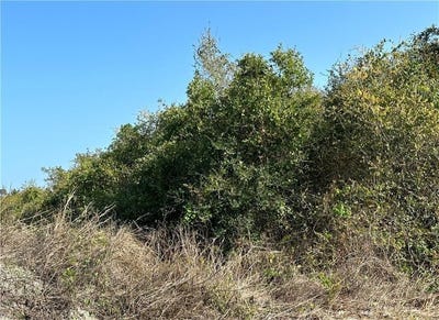 /international/us/n-7th-street-lot-19-aransas-pass-tx-110108877708/