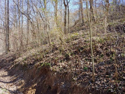 /international/us/0-birch-hollow-road-stanton-ky-110100864825/
