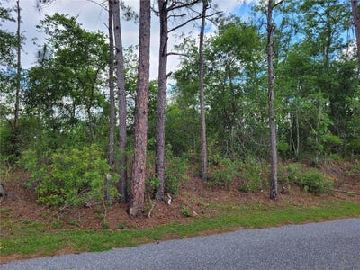 /international/us/tbd-county-road-18-fort-white-fl-110098455175/