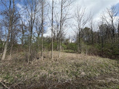 /international/us/rt-167-jordanville-ny-110107909228/