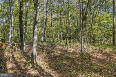 /international/us/-94-acres-mosser-mchenry-md-110120463496/