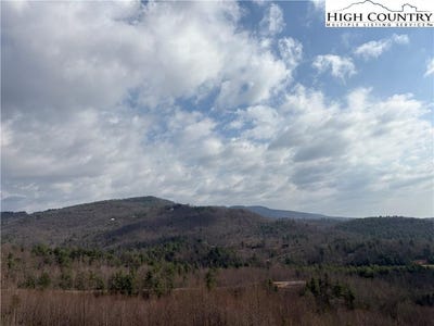 /international/us/wildcat-wilderness-parkway-deep-gap-nc-110106957656/