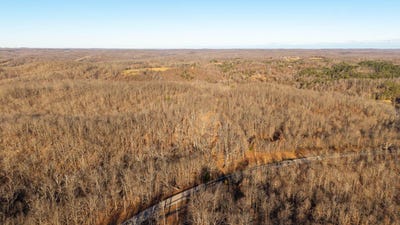 /international/us/state-highway-137-willow-springs-mo-110104215803/