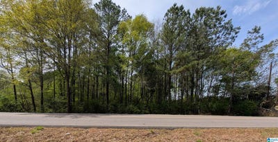 /international/us/9146-lock-17-road-lot-000-adger-al-110120416010/