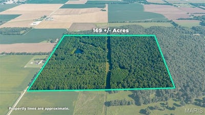 /international/us/county-road-307-advance-mo-110120535977/