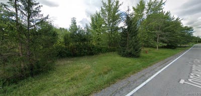 /international/us/tonawanda-creek-road-clarence-center-ny-110119630144/