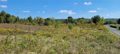 /international/us/vl4-hidden-ridge-road-north-royalton-oh-110097978173/