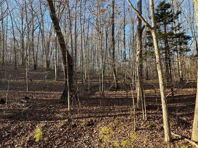 /international/us/stockdale-circle-big-sandy-tn-110102146185/