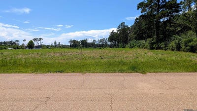 /international/us/lot-2-b6-tungoil-rd-pine-grove-la-110101013023/?lang=zh-tw