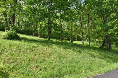 /international/us/diamond-cove-lot-17-bridgeport-wv-110107964388/