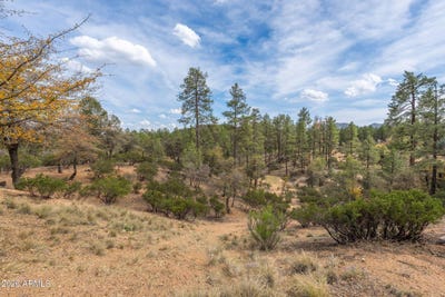 /international/us/3010-e-arrow-point-payson-az-110107164359/
