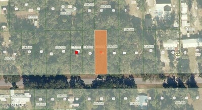 /international/us/1020-elm-street-welaka-fl-110103125792/