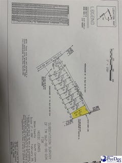 /international/us/lot-21-heidi-lane-hamer-sc-110105359029/