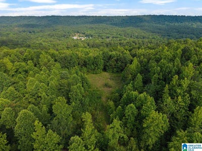 /international/us/lot-4-highway-75-oneonta-al-110100264254/?lang=zh-tw