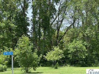 /international/us/29172-biehn-drive-madison-lake-mn-110099986383/