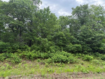 /international/us/e-wilderness-court-lot-53-barnes-wi-110107955863/