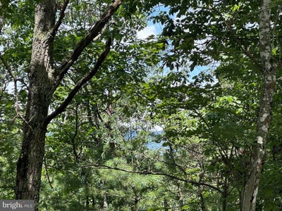 /international/us/lot-24-mt-snow-court-basye-va-110100687391/?lang=zh-cn