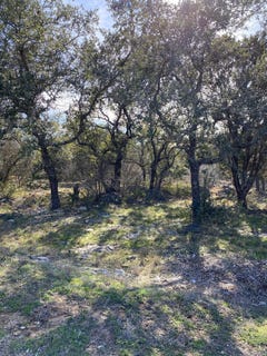 /international/us/lt-45009-scarlet-sun-horseshoe-bay-tx-110101223772/?lang=fr