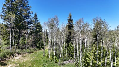 /international/us/22738-e-snowbird-dr-spanish-fork-ut-110108966883/