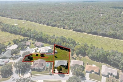 /international/us/1342-s-brookfield-drive-lecanto-fl-110107850134/