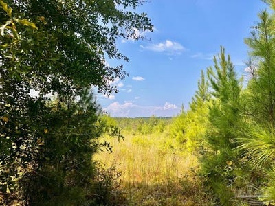 /international/us/morgans-branch-lot-15-molino-fl-110102665001/