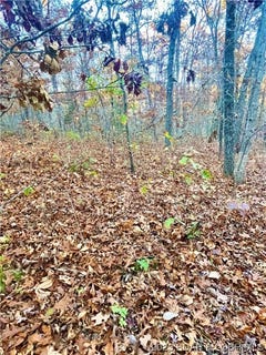 /international/us/illinois-lane-lot-164-rocky-mount-mo-110088500349/