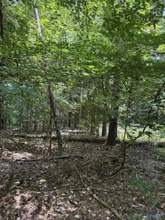 /international/us/4-parkwood-lane-glencoe-al-110101119625/?lang=zh-tw