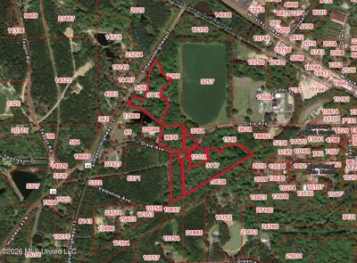 /international/us/dixie-avenue-mendenhall-ms-110108060515/