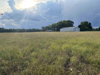 /international/us/0-highway-291-south-prattsville-ar-110101138091/