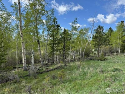/international/us/137-cimarron-rd-red-feather-lakes-co-110099024548/