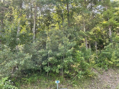 /international/us/lot-49-hemlock-hills-rd-towanda-pa-110090761123/