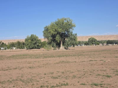 /international/us/vl-land-of-atalio-chavez-tract-a-bosque-nm-110109984722/