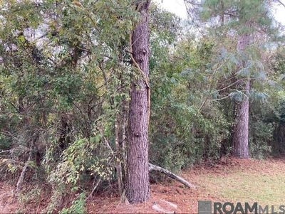 /international/us/lot-14-lucien-st-denham-springs-la-110108225862/
