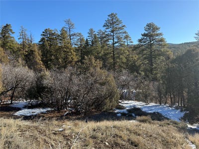/international/us/unit-1-tr-9b-ponderosa-chama-nm-110104105684/