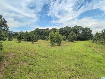 /international/us/barclay-road-lot-0-alpine-al-110110274485/