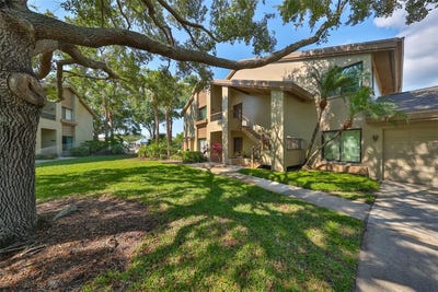 /international/us/3095-landmark-boulevard-2005-palm-harbor-fl-110102354679/
