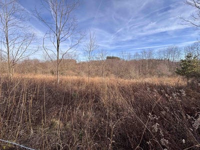 /international/us/barbour-county-highway-philippi-wv-110104028453/