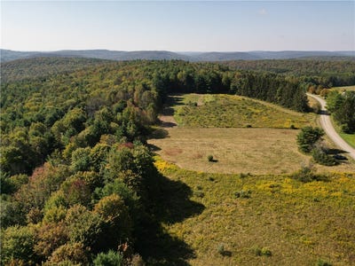 /international/us/330-tallow-hill-road-spencer-ny-110102417331/
